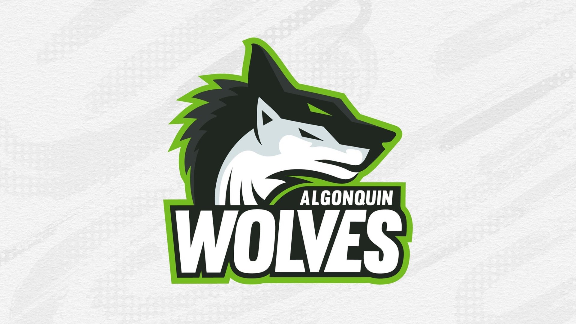 Algonquin Wolves Volleyball