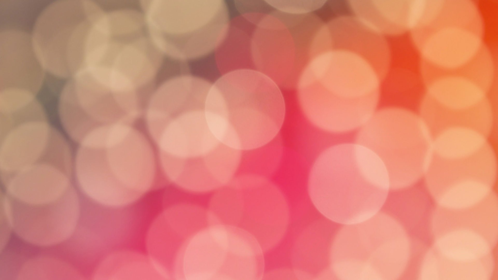 Denny Sanford Premium Perch