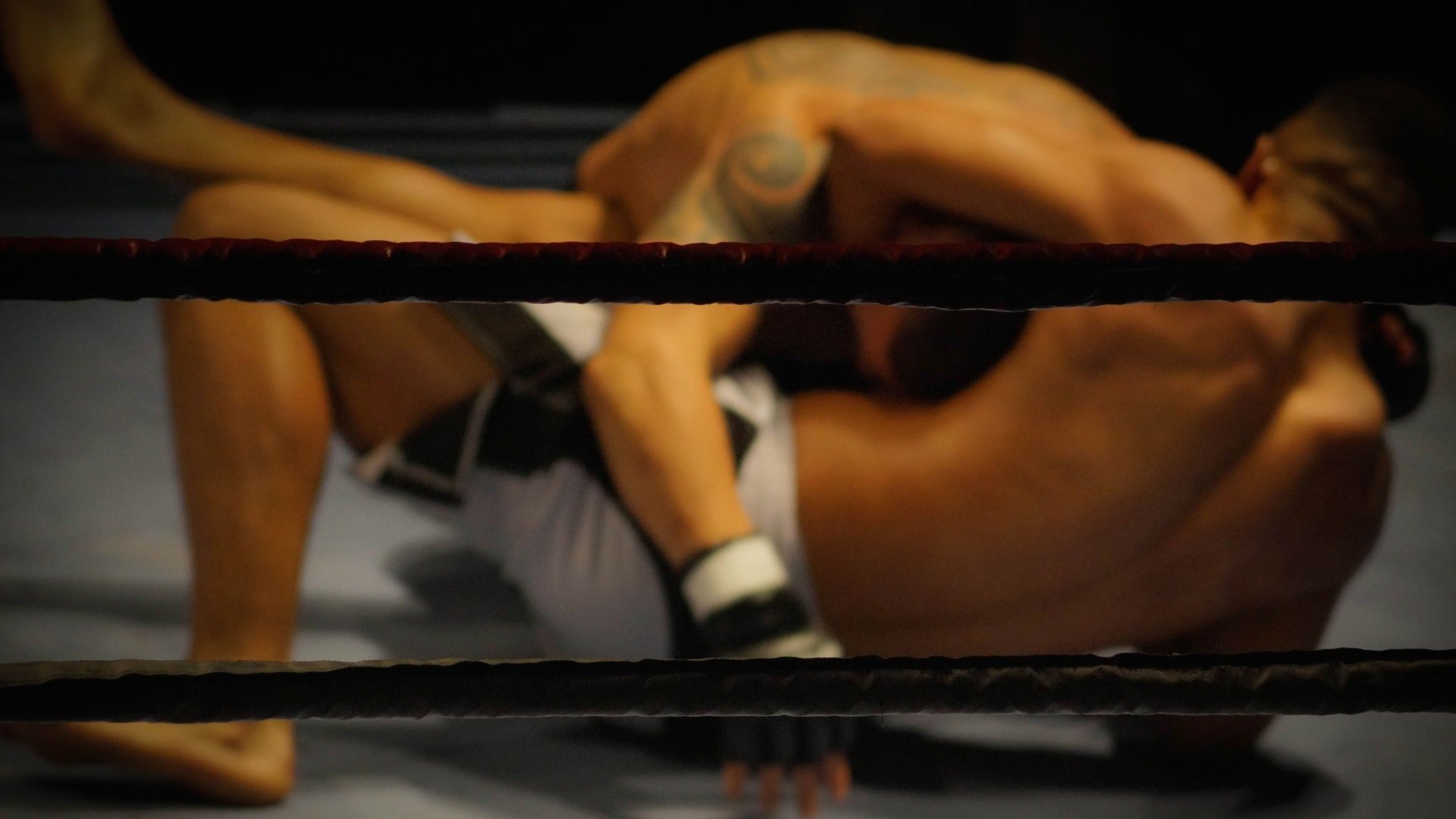 HELL Boxing Kings 11