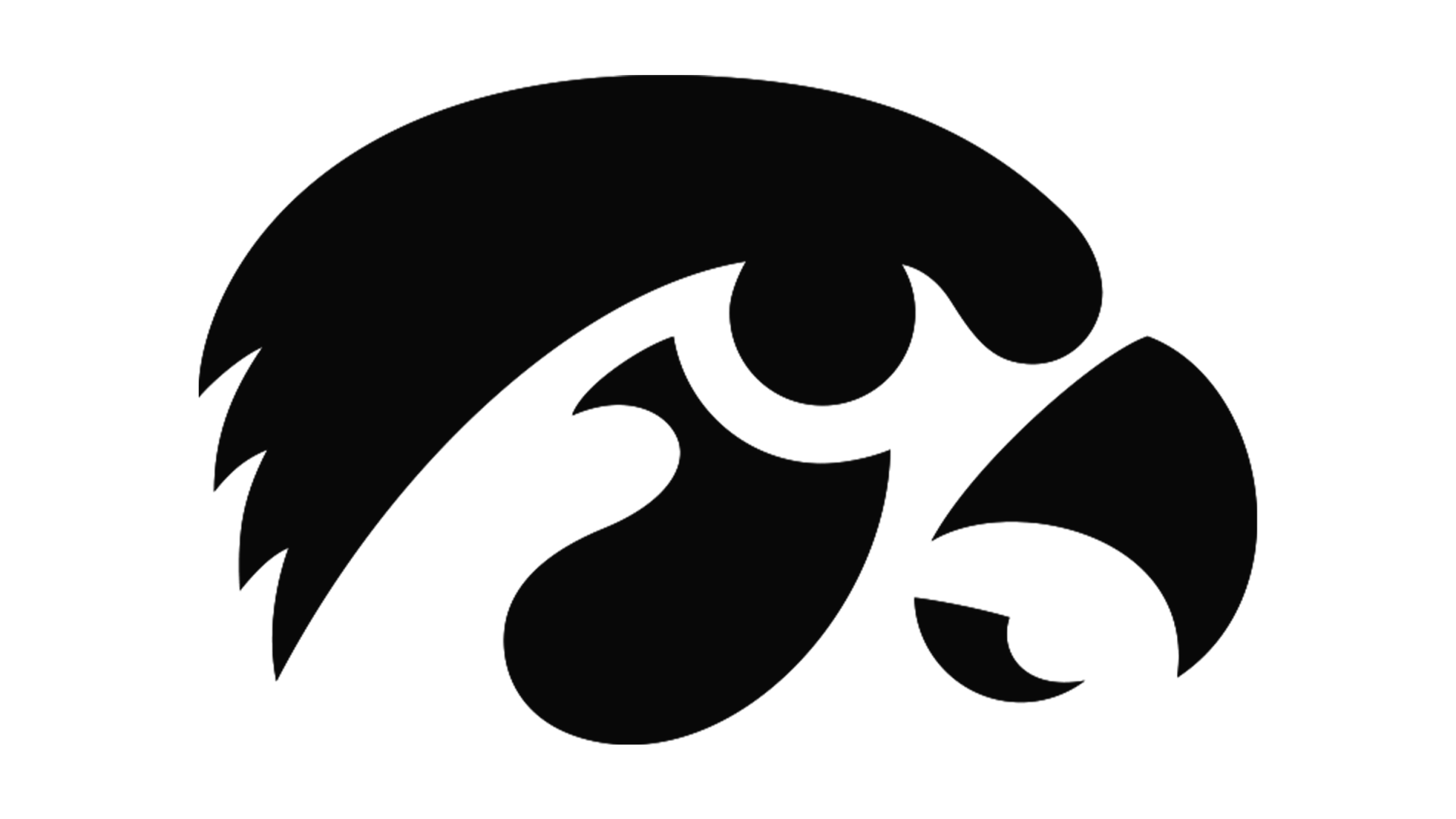 Iowa Hawkeyes Men's Basketball