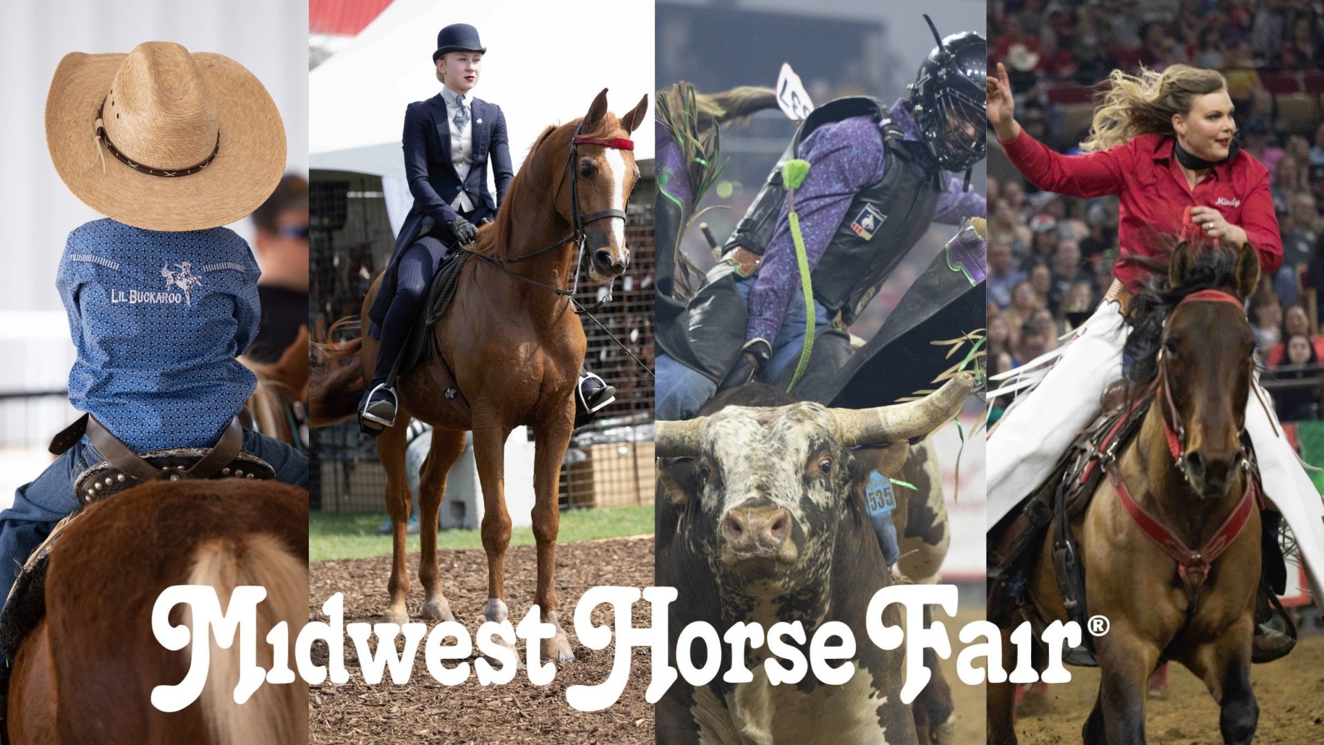 Midwest Horse Fair