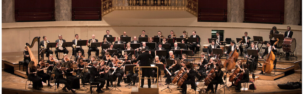 Orchestra Viena