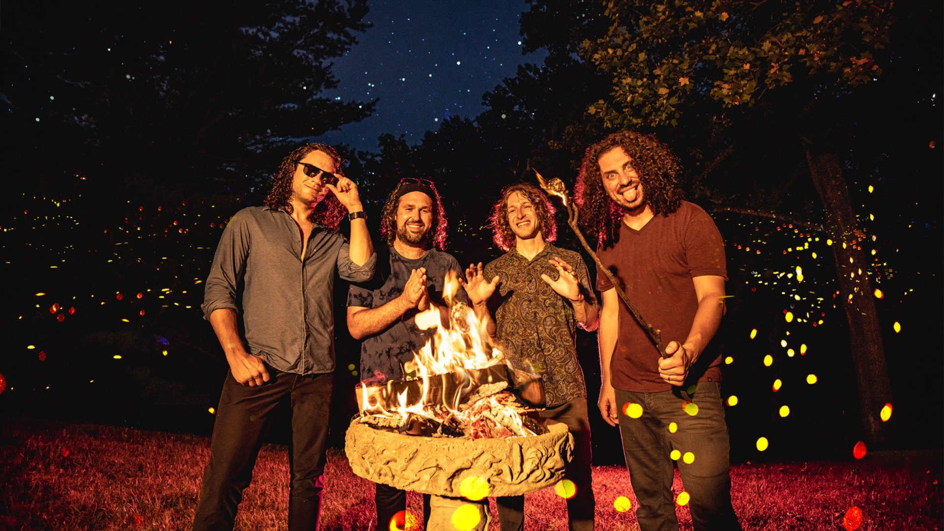 Pigeons Playing Ping Pong