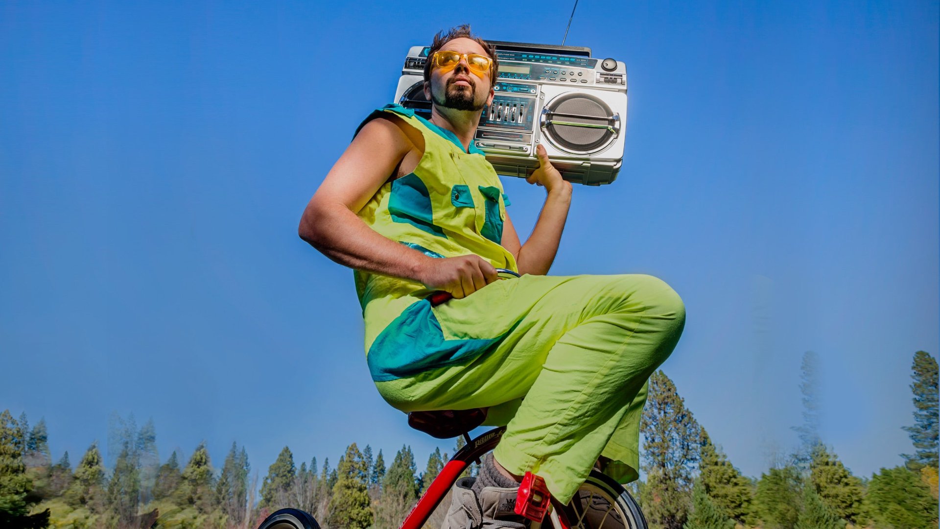 The Polish Ambassador