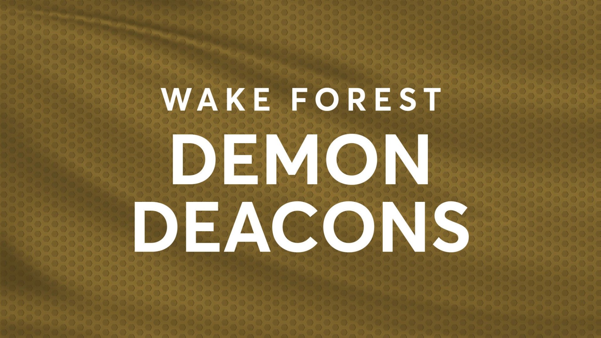 Wake Forest Demon Deacons Mens Basketball
