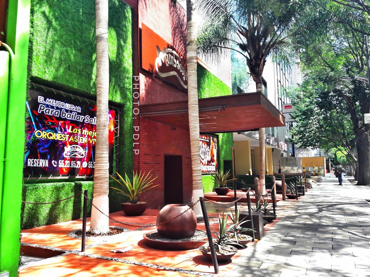 Mambo Cafe Insurgentes